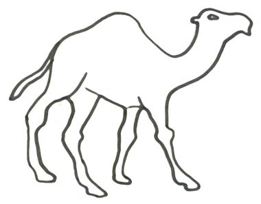 Malvorlage Kamel oder Dromedar