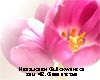 Karte mit Glückwünschen zum 42. Geburtstag kostenlos