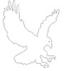 Adler Malvorlage - fliegender Adler zum Ausmalen