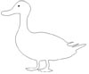 Ente Ausmalbild - kostenlose Zeichenvorlage Ente