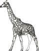 Malvorlage Giraffe - Giraffenvorlage zum Ausmalen