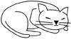Schlafende Katze Ausmalbild - Katzenmalvorlage