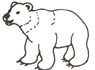 Bär Malvorlage - Bären Ausmalbild - Eisbär