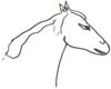 Malvorlage Pferd - Pferdekopf Ausmalbild zum Ausdrucken