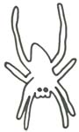 Spinne Malvorlage - Spinnenbild zum Ausdrucken