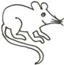 Maus Malvorlage - lustige Maus als Ausmalbild
