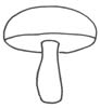 Pilz Malvorlage - Champignon Ausmalbild