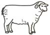 Schaf Malvorlage - Schaf Zeichenvorlage zum Ausmalen