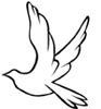 Schwalbe Malvorlage - fliegender Vogel zum Ausmalen