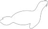 Seehund Malvorlage - Ausmalbild Seehund