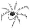 Spinne Ausmalbild kostenlos - Spinnen malen