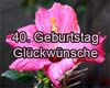 Lustige Geburtstagsw�nsche zum 40.