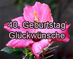 glückwunschverse zum geburtstag