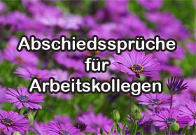 Zitat Abschied Arbeitsplatzwechsel Gute Zitate Leben