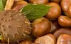 Basteln im Herbst mit Kindern