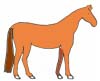Malvorlagen Pferde Ausmalbilder