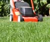 Rasen M�hen Gras