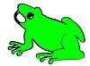 Tiere Malvorlagen